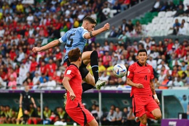 1669302309774009573.jpg 1669302299.jpg